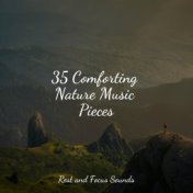 35 Comforting Nature Music Pieces