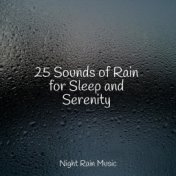 25 Sounds of Rain for Sleep and Serenity