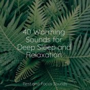 40 Warming Sounds for Deep Sleep and Relaxation