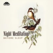 Night Meditation Before Sleep