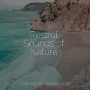 Restful Sounds of Nature