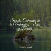 Sonidos Calmantes de la Naturaleza | Spa y Dormir