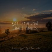 50 Binaural Beat Beats