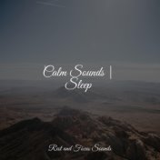 Calm Sounds | Sleep