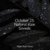 October 25 Natural Rain Sounds
