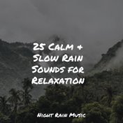 25 Calm & Slow Rain Sounds for Relaxation
