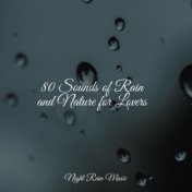 80 Sounds of Rain and Nature for Lovers