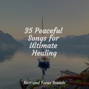 35 Peaceful Songs for Ultimate Healing
