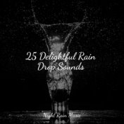 25 Delightful Rain Drop Sounds