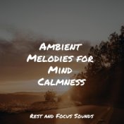 Ambient Melodies for Mind Calmness