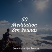 50 Meditation Zen Sounds