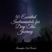 50 Essential Instrumentals for Deep This Journey