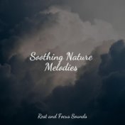 Soothing Nature Melodies