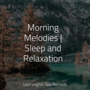 Morning Melodies | Sleep and Relaxation