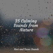 35 Calming Sounds from Nature