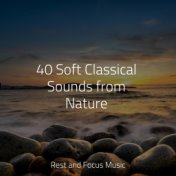 40 Soft Classical Sounds from Nature