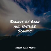 Sounds of Rain and Nature Sounds