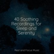 40 Soothing Recordings for Sleep and Serenity