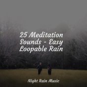 25 Meditation Sounds - Easy Loopable Rain