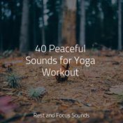 40 Peaceful Sounds for Yoga Workout