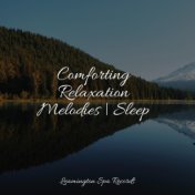 Comforting Relaxation Melodies | Sleep