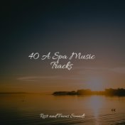 40 A Spa Music Tracks