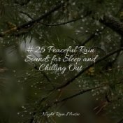 #25 Peaceful Rain Sounds for Sleep and Chilling Out