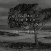 40 A Ultimate Sounds for Deep Sleep & Chill Atmosphere