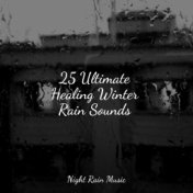 25 Ultimate Healing Winter Rain Sounds