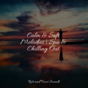 Calm & Soft Melodies | Spa & Chilling Out