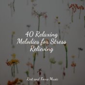 40 Relaxing Melodies for Stress Relieving
