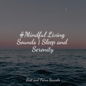 #Mindful Living Sounds | Sleep and Serenity