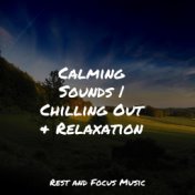 Calming Sounds | Chilling Out & Relaxation