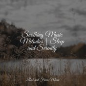 Soothing Music Melodies | Sleep and Serenity