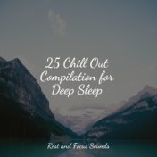 25 Chill Out Compilation for Deep Sleep
