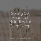 Spring 50 Beautiful Melodies for Deep Sleep