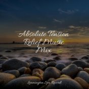 Absolute Tension Relief Music Mix