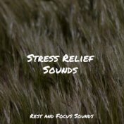 Stress Relief Sounds