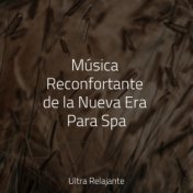 Música Reconfortante de la Nueva Era Para Spa