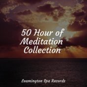 50 Hour of Meditation Collection