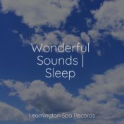 Wonderful Sounds | Sleep