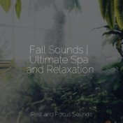 Fall Sounds | Ultimate Spa and Relaxation