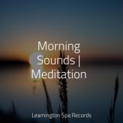Morning Sounds | Meditation