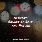 Ambient Sounds of Rain and Nature