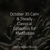 October 35 Calm & Steady Classical Collection for Meditation