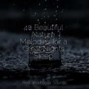 40 Beautiful Nature Melodies for a Great Nights Sleep