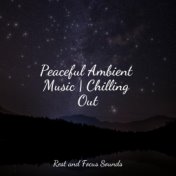 Peaceful Ambient Music | Chilling Out