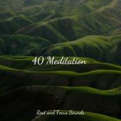 40 Meditation