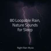 80 Loopable Rain, Nature Sounds for Sleep