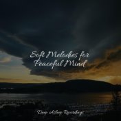 Soft Melodies for Peaceful Mind